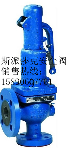 山東淄博進(jìn)口閥門(mén)辦事處 Spirax Sarco法蘭安全閥詳解